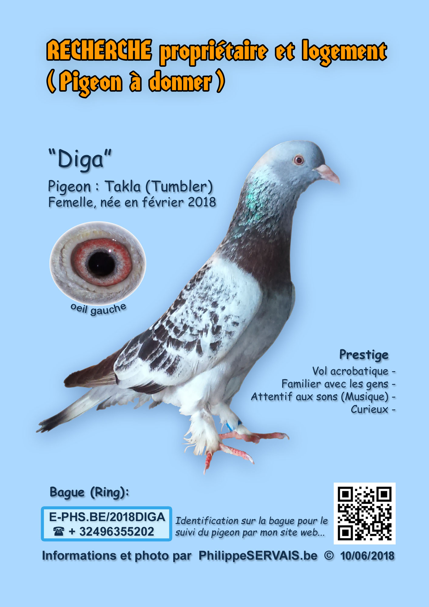 Pigeon_BE2018-Diga Pigeon_BE2018-Diga